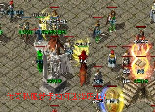 传奇私服新手如何选择职业? 传奇私服新手如何选择职业?