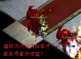 ������Ѩ���̽�����ܻ��������棿