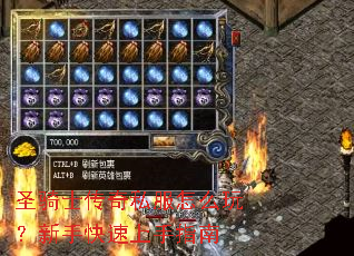 圣骑士传奇私服怎么玩?新手快速上手指南 圣骑士传奇私服怎么玩?新手快速上手指南