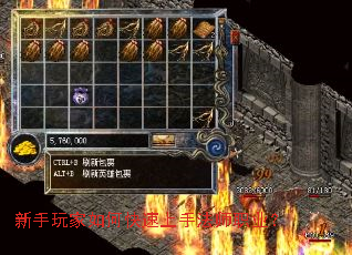 ���������ο������ַ�ʦְҵ��