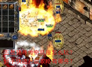 ����������˽����ô�棿���ֿ���������������Щ��