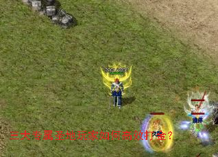 ����ר��ʥ�������θ�Ч���