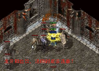 ������Ѫ������ʦ���׸�ѡ˭��