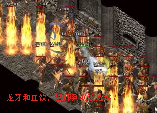 ������Ѫ������ʦ���׸�ѡ˭��