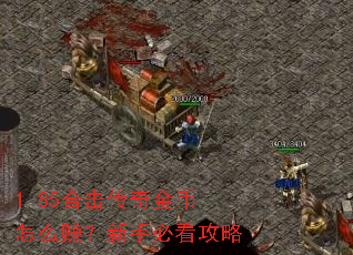 1.85合击传奇金币怎么赚?新手必看攻略 1.85合击传奇金币怎么赚?新手必看攻略