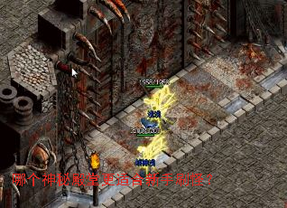 �ĸ����ص��ø��ʺ�����ˢ�֣�