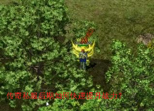 传奇私服后期如何快速提升战力? 传奇私服后期如何快速提升战力?