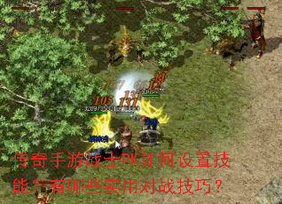 ��������սʿPK������ü��ܣ�����Щʵ�ö�ս���ɣ�