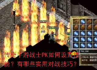 ��������սʿPK������ü��ܣ�����Щʵ�ö�ս���ɣ�