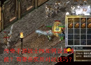 ��������սʿPK������ü��ܣ�����Щʵ�ö�ս���ɣ�