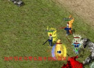 如何强化传奇私服中的极品装备? 如何强化传奇私服中的极品装备?