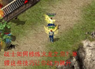 սʿ�����������֮Ϣ��������Щ��������ս�����