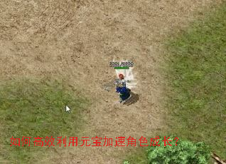 ��θ�Ч����Ԫ�����ٽ�ɫ�ɳ���