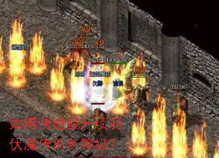 ��ο������������ħ����ɫ�ȼ���