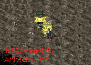 �Ϲ������湥�ԣ���ο�������ս����