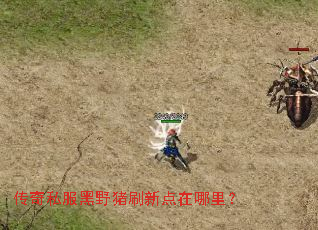 ����˽����Ұ��ˢ�µ������