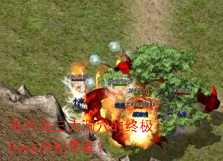 ���µ�����Ѩ���ռ�boss�ֱ���˭��