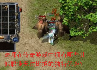 ��ʦ�ڴ�����Ϸ��ӵ����Щ����ְҵ�޷�����Ķ������ƣ�