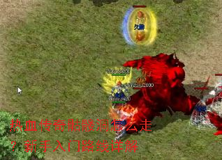 ��Ѫ�������ö���ô�ߣ���������·�����