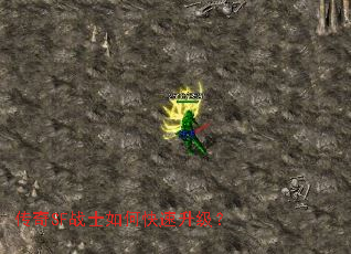 ����SFսʿ��ο���������