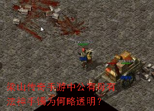 ��ɽ���������й���ĸ�з�������Ϊ����͸����