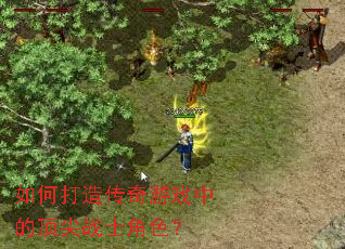 ��δ��촫����Ϸ�еĶ���սʿ��ɫ��