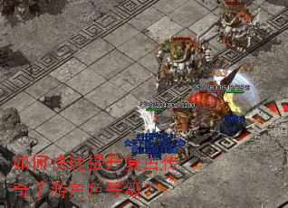 ��ο����������Ŵ������ν�ɫ�ȼ���