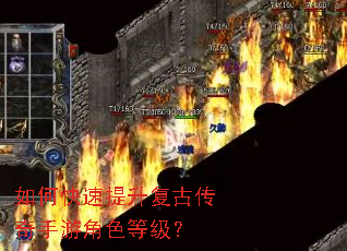 ��ο����������Ŵ������ν�ɫ�ȼ���