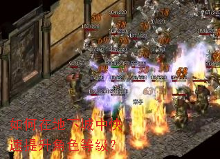 ����ڵ��³��п���������ɫ�ȼ���