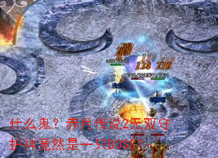 ʲô�������´�˵2��˫�ػ���Ȼ��һֻBOSS��