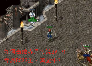 ��λ��ܳ��´�˵2VIP1ר��BOSSʥ���ƽ�ţ��