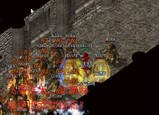 ��ѩ���죬��ν��������书�ؼ���