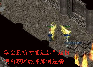 ѧ�ᷴ�����ܽ�������ݴ��湥�Խ��������Ϯ