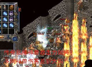 传奇私服神兽攻击力如何?不同神兽伤害差距大吗? 传奇私服神兽攻击力如何?不同神兽伤害差距大吗?