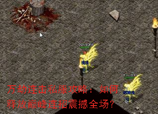 �������˽�����ԣ�����ͷ��۷�������ȫ����