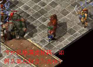 ����˽�������ؼ�����δӲ����ɱ�Ϊ����