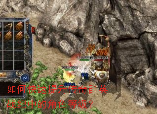 ��ο�����������ȺӢս���еĽ�ɫ�ȼ���