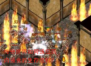 �������������Ӧ����ǿʳ�����淨��