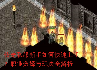 ����˽��������ο������֣�ְҵѡ�����淨ȫ����