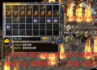 37����˽�����ع��ԣ��������ѡ��𱬷�����������ɢ�ˡ����������ŶӺ����淨