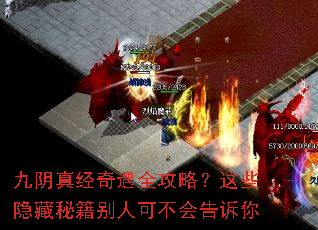 �����澭����ȫ���ԣ���Щ�����ؼ����˿ɲ��������