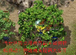 �������������°������������ս������ͨ���ؼ��󹫿�