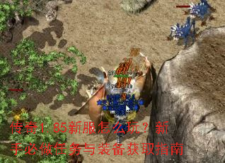 ����1.85�·���ô�棿���ֱ���������װ����ȡָ��