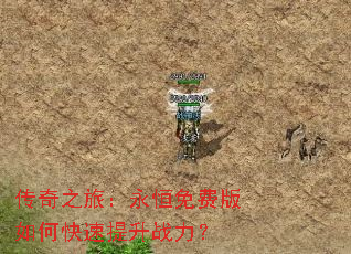 ����֮�ã�������Ѱ���ο�������ս����