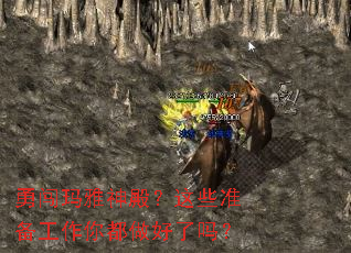 �´���������Щ׼�������㶼��������