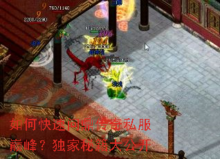 ��ο����ʶ�����˽���۷壿�����ؼ��󹫿�