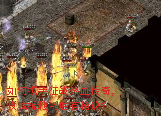 ���Я����ս��Ѫ���棬�����ӵ���ʤ���ؾ���