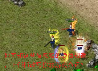 ���֪��Щ�����Ե����ع��ɣ������ĸ�д�����Ϸ���ˣ�