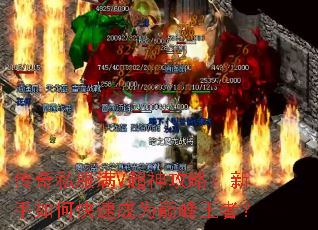 ����˽����V�����ԣ�������ο��ٳ�Ϊ�۷����ߣ�