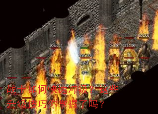 սʿ��ο��ٳ弶����Щ������������������